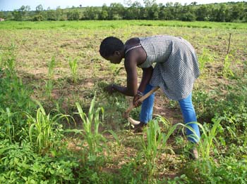 1 Annee en 2 sarcla#106EB8B